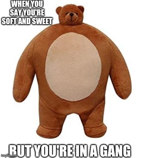 Funny Teddy Bear Memes