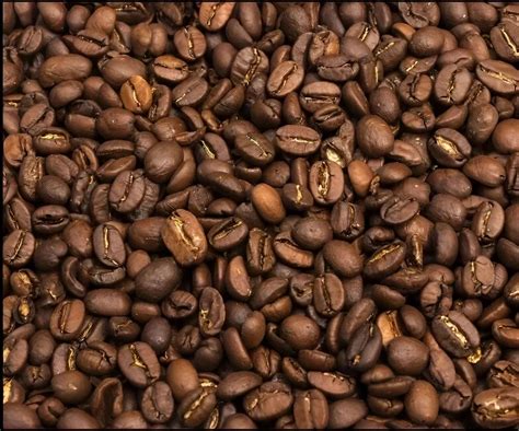coffee beans  delhi kafi ka bja thall delhi  latest price