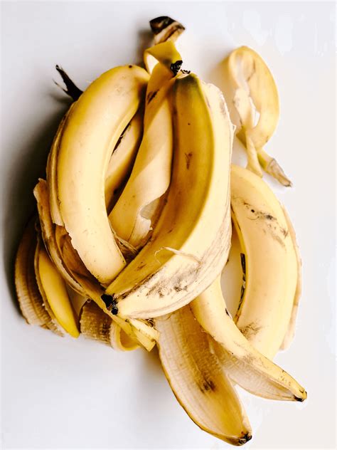 Organic Matter Can be Used to Replace Fertilizers