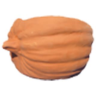 Terracotta d.o.o. – Saksije