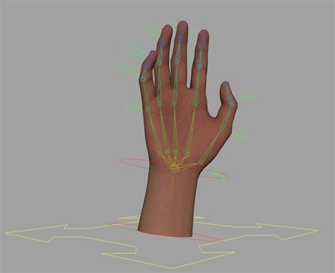 Realistic Human Hand - Rigged 3D Model - TurboSquid 2096513