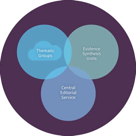 cochranes  review format
