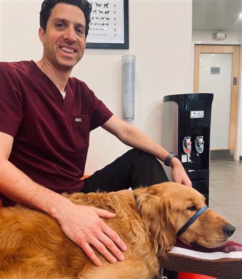 City Veterinary Care