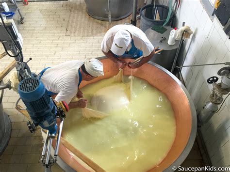 The story behind Parmigiano Reggiano - Saucepan Kids