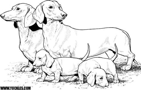 Dachshund Coloring Pages - Coloring Home