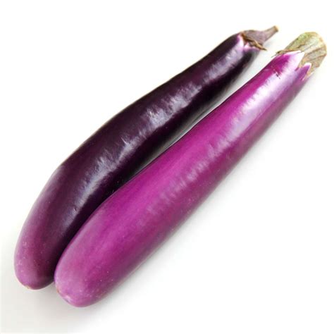 Eggplant - Maangchi’s Korean cooking ingredients