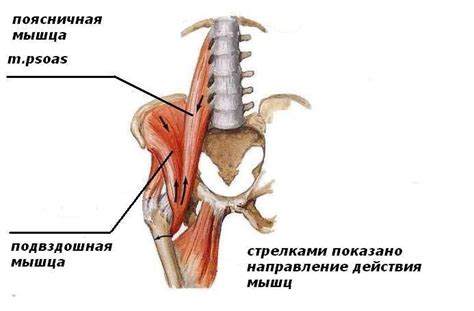 ПСОАС – АБСЦЕСС | ДРАЙВ