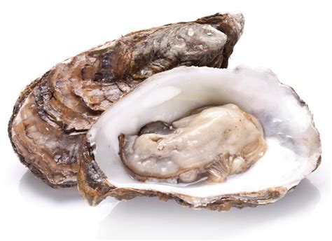 Raw Oyster Stock Photo - Download Image Now - 2015, Animal Shell