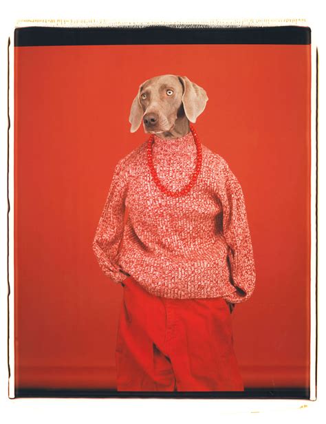 William Wegman Man S Best Friend 2020 Wall Calend 5