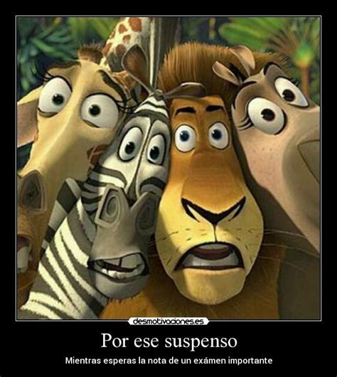 Imágenes y Carteles de SUSPENSO Pag. 21 | Desmotivaciones