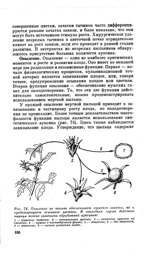 Опыление не только обеспечивает мужские гаметы, но и предотвращает ...