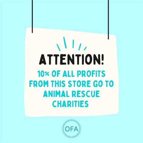 World's Biggest Boobies 6 Largest Booby Birds Funny Wall - Etsy