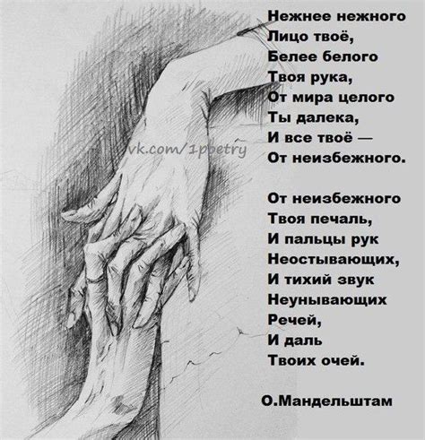 Лучшие стихи великих поэтов | Литература