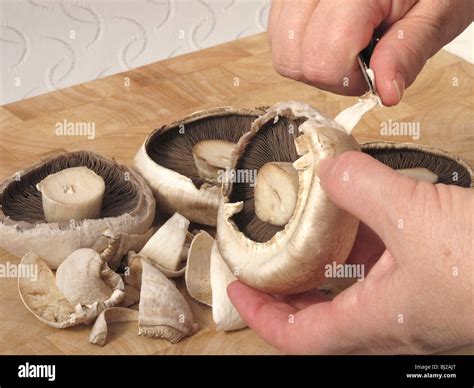 Preparing Mushrooms Stock Photo - Alamy