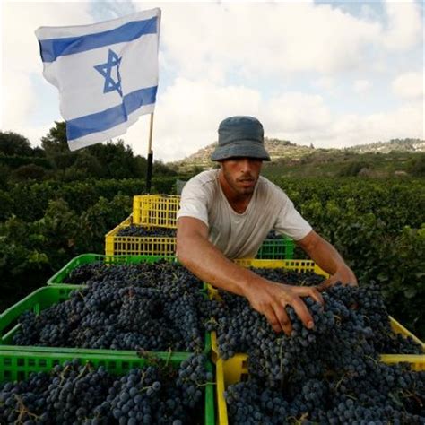 Touring Israel and its Wine Regions