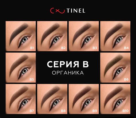 Пигмент для татуажа бровей Tinel В2 Темный шоколад купить с доставкой и ...