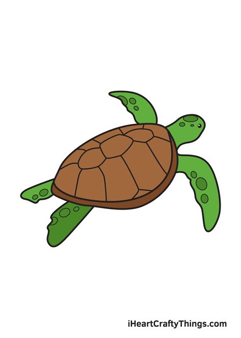 Sea Turtle Drawing — How To Draw A Sea Turtle Step By Step