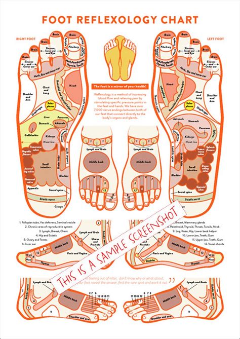Foot Acupressure and Reflexology Chart PRINTABLE/ INSTANT - Etsy