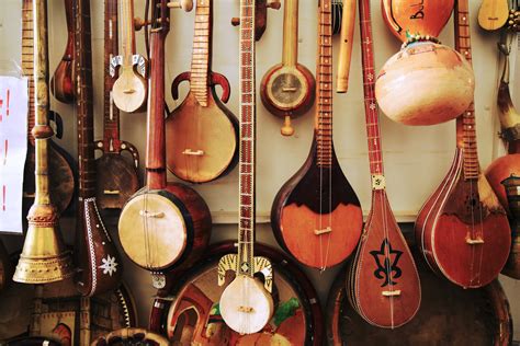 Choosing Your Instrument: What You Should Know About the Banjo — Her ...