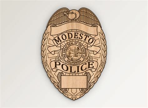 modesto police activity 6