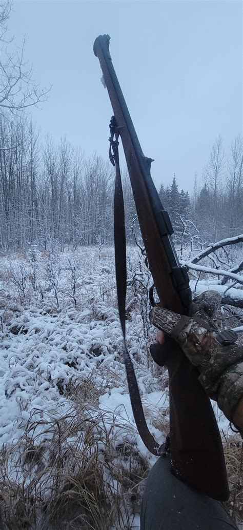 Sako 85 Bavarian Carbine : r/canadaguns