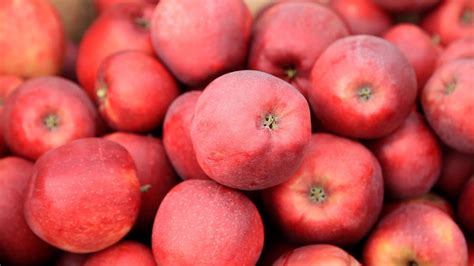 Polskie jabłka - wyzwaniem jest jakość - Fresh-market.pl