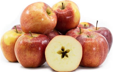produce explained  types  apples     pantry sethluicom