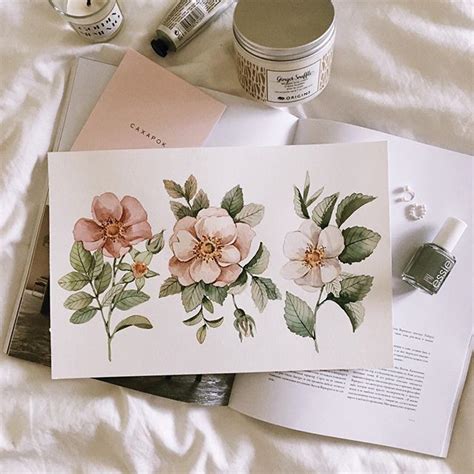 ️Pink and green ️Когда все цвета на фото сами собой гармонично ...