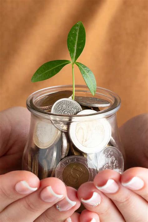 conservative investment strategy portfolio