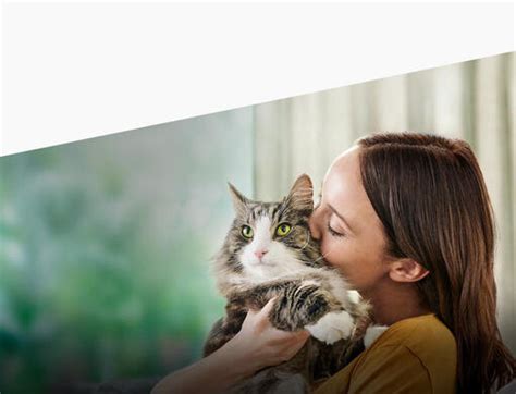 PURINA | Dein Haustier, unsere Leidenschaft