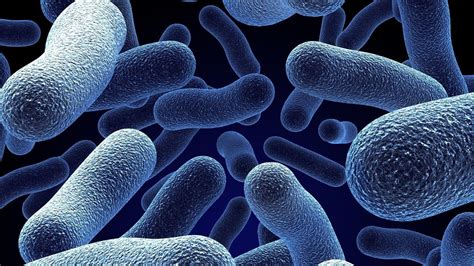Bacteria Wallpapers - Top Free Bacteria Backgrounds - WallpaperAccess