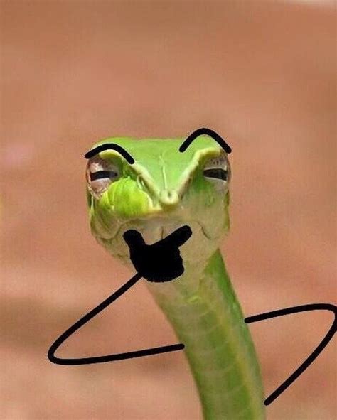 Создать мем "змейки с ручками, snake meme, змея" - Картинки - Meme ...