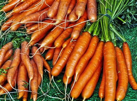 Очень вкусная морковная икра ⋆ Информационное Агентство «Зебра-Медиа»