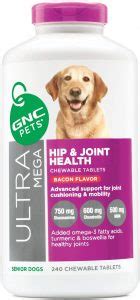 5 Best Supplements for Hip Dysplasia in Dogs - Best Protection Dogs