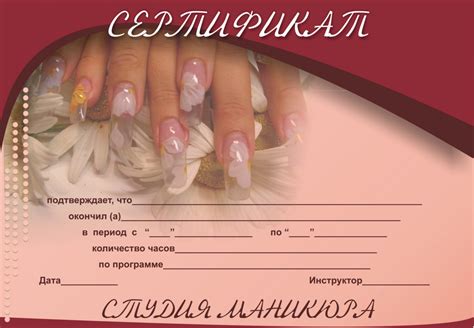 Сертификат мастера шаблон
