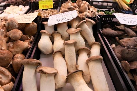 Premium Photo | Boletus