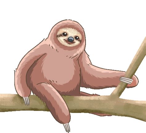 Sloth Pygmy Three Toed Sloth Sticker - Sloth Pygmy Three Toed Sloth - Discover & Share GIFs