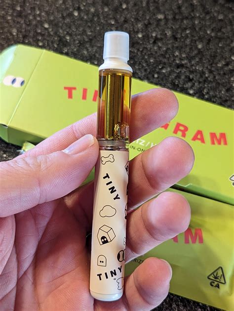 Tiny 2g Disposables (review in comments) : r/fakecartridges