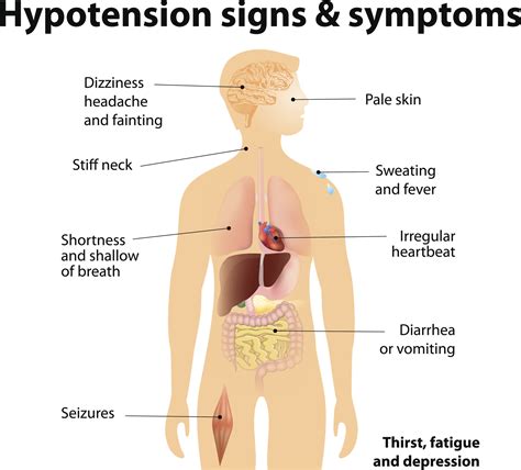 Causes of Kidney Disease - Dialysis Patient Citizens Education Center