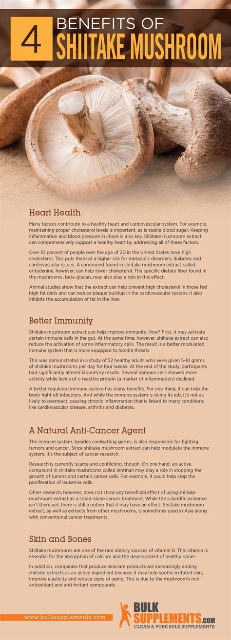 Experts Explain Why Shiitake Mushroom For Sale Is So Healthy - RYZE Superfoods