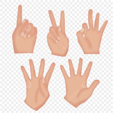 gambar menghitung jari png vektor psd  clipart  background