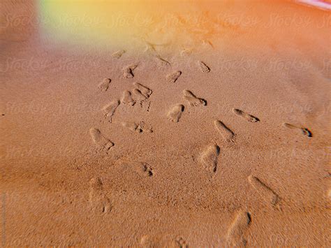 "Footprints On The Beach" by Stocksy Contributor "Lalita Studio" - Stocksy