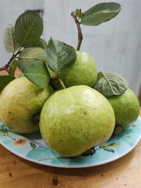 guava  stem  leaf   plate stock photo image  green