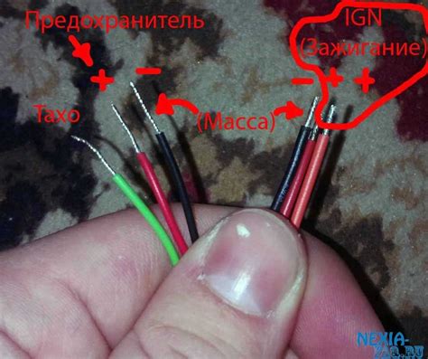 Красный, черный, плюс и минус, цвета проводов