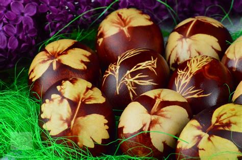 oua vopsite  foi de ceapa rosie caietul cu retete