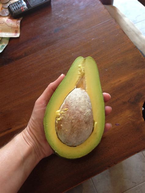 Avocado – Divine Collision