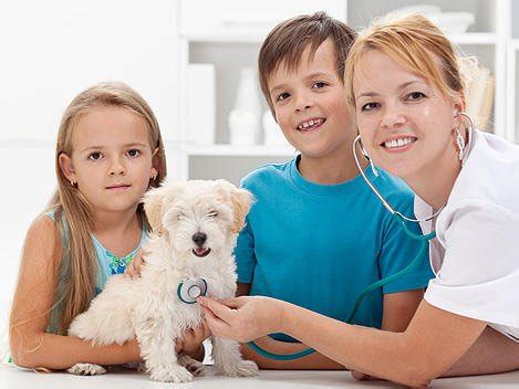 Junaluska animal hospital