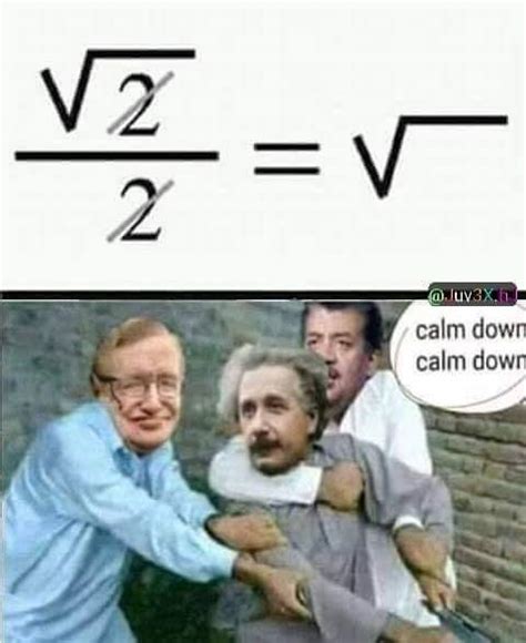 Calm down bro! Calm down! : memes