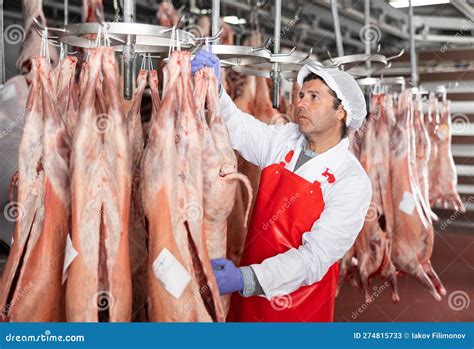 male slaughterhouse worker inspecting mutton carcass  meat storage