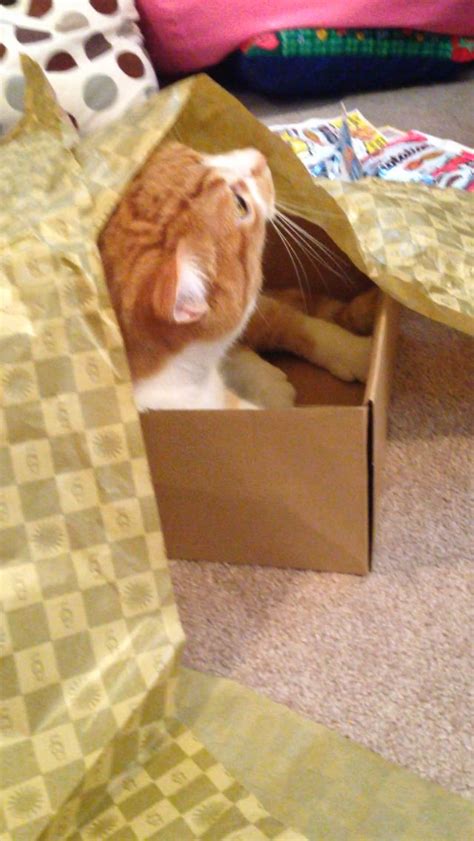 Boxes and crinkly paper!!